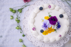 일본 과자 전문학교